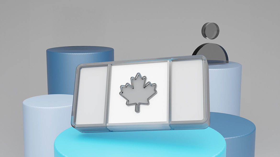 Drapeau du Canada en gris